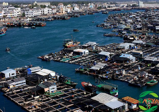 海南省渔业产业转型升级的具体措施有哪些