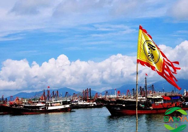 2023年中国南海(三亚)开渔节将于8月16日举行