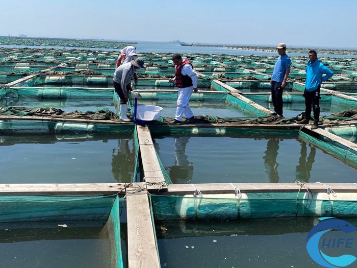 2024海南渔业博览会对海南渔业的技术创新和应用有何促进