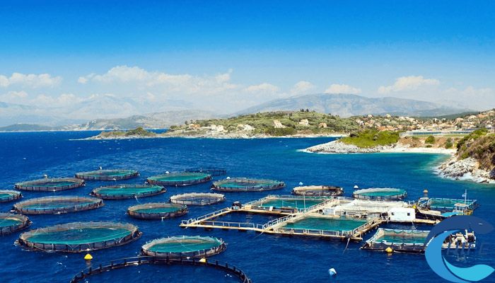 2024海南水产养殖博览会对提升水产养殖业发展有何作用?