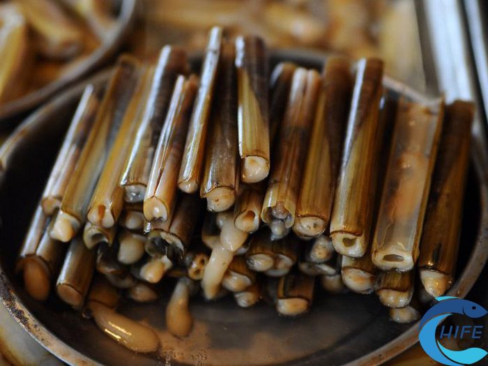 如何正确保存贝类海鲜？