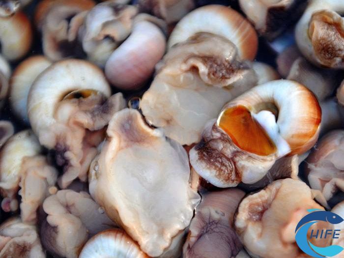 如何判断贝类海鲜是否变质？