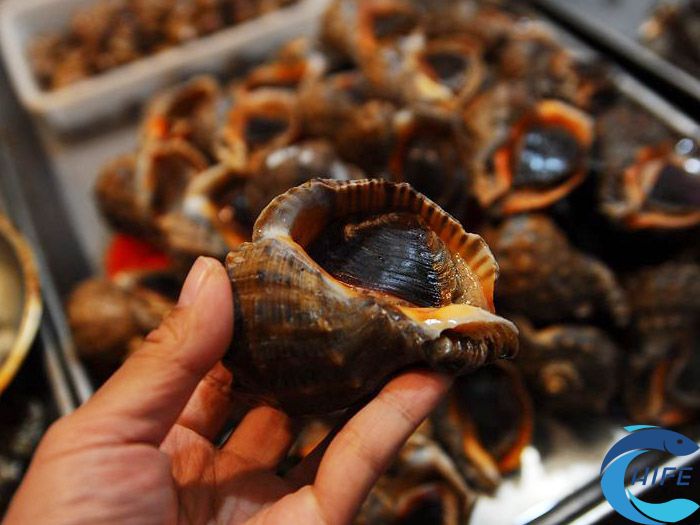 海南国际渔业博览会 2024年举办时间，展品有哪些？