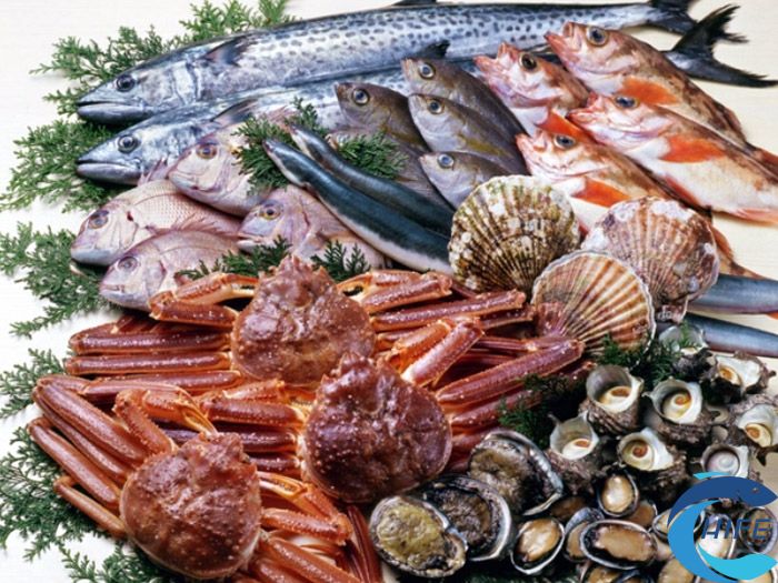 2024海南水产品食材展览会时间和地点