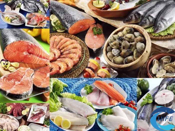 2024海南三亚水产食材展举办时间和地点