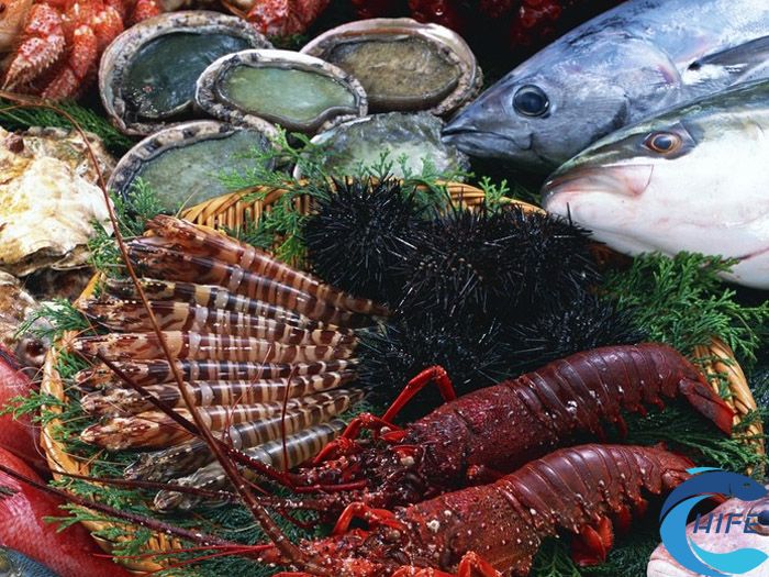 2024海南渔博会举办时间和地点