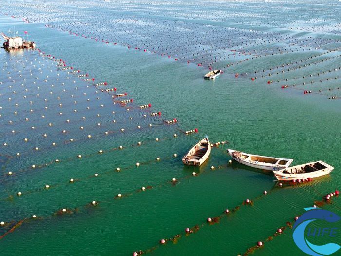 海南省在推动渔业高质量发展方面还有哪些具体措施