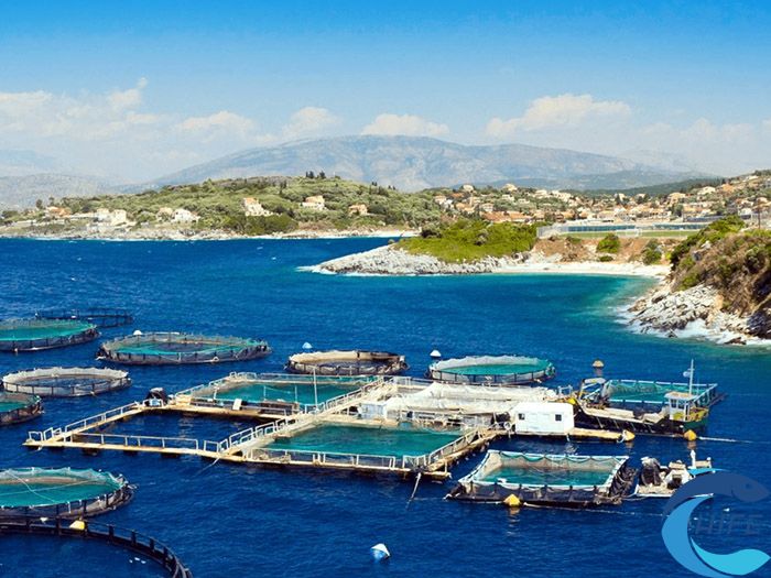 海南省休闲渔业的政策支持