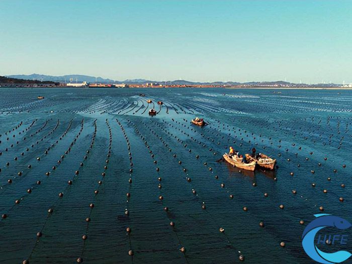 海南省在推动渔业产业转型升级方面的政策支持有哪些