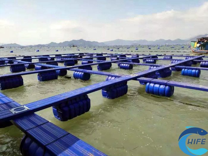 海南省渔业设施装备的升级和优化措施有哪些