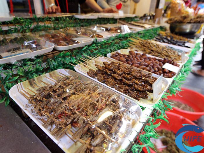 2024渔业博览会的举办地点有哪些