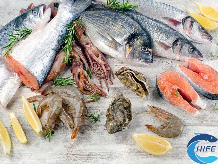 海南国际渔业博览会的举办时间是什么时候