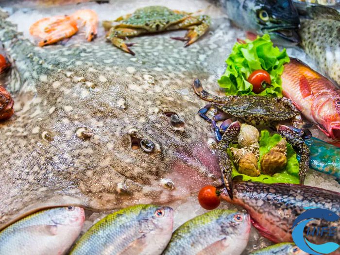 2024海南国际渔业博览会在哪开展