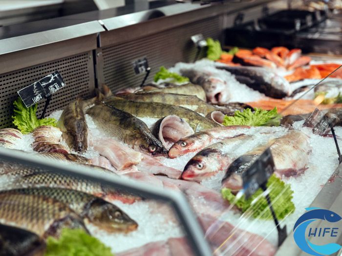 2024海南渔业展会时间和地点