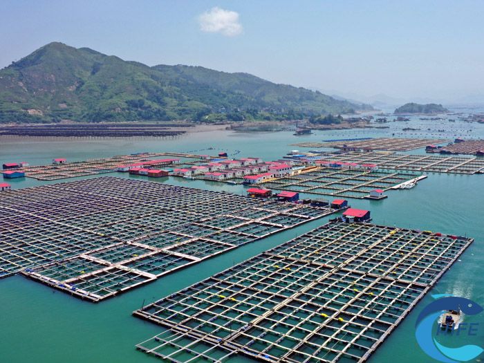 在海南地区，水产养殖饲料的选择有哪些影响因素